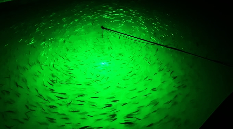 How To Use Underwater Fishing Lights