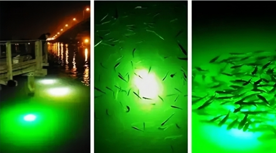 What Can 600W Underwater Fishing Light Bring You?