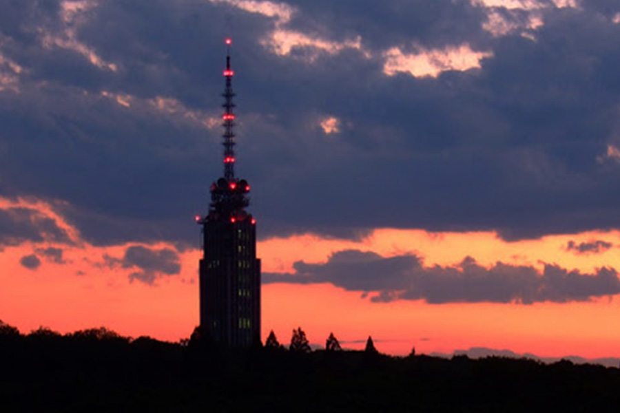 Rooftop Telecom Installations​ Aviation Tower Warning Light